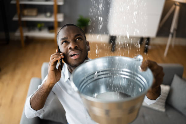 Best Professional water damage repair  in Shady Shores, TX