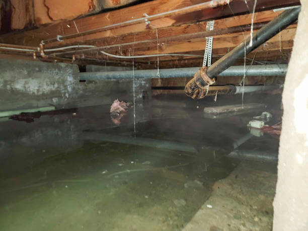 Best 24-hour water damage restoration  in Shady Shores, TX