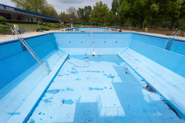 Best Water damage contractors near me  in Shady Shores, TX