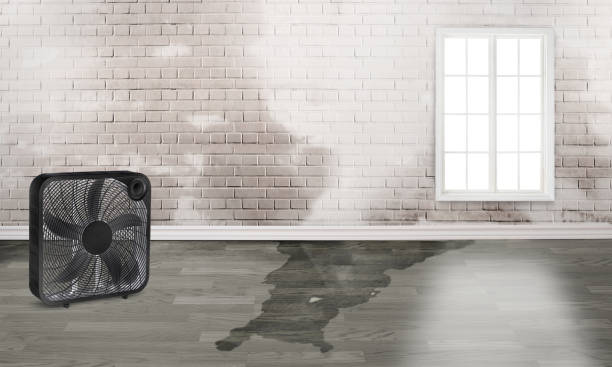 Best Sewage cleanup and water damage restoration  in Shady Shores, TX