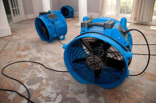 Best 24/7 water damage repair  in Shady Shores, TX