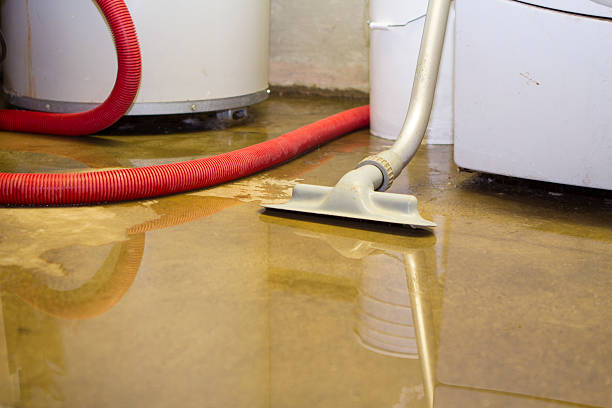 Best Professional water damage repair  in Shady Shores, TX