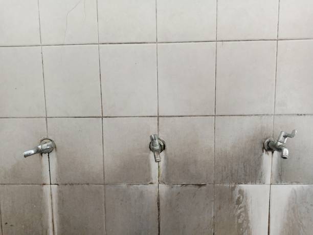 Best Flood damage cleanup  in Shady Shores, TX