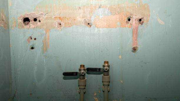  Shady Shores, TX Water damage restoration Pros
