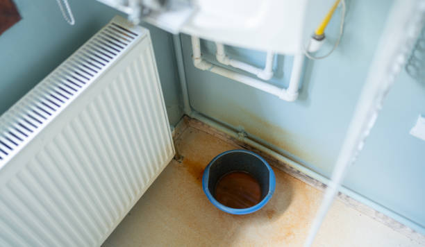 Best Ceiling water damage repair  in Shady Shores, TX