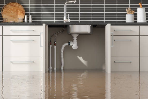 Best Local water damage restoration  in Shady Shores, TX