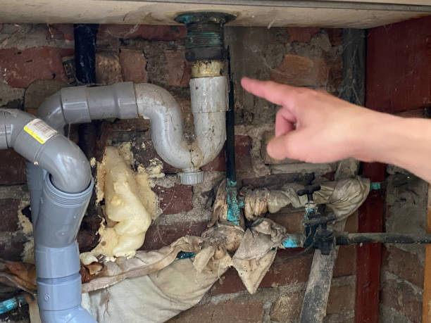 Best Fire Damage Restoration  in Shady Shores, TX