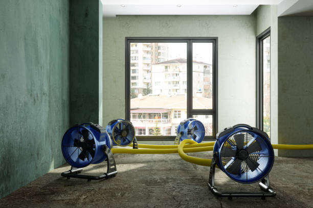 Best 24-hour water damage restoration  in Shady Shores, TX